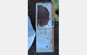 5d9074bed78ea_photo.jpg