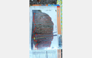 5d9074c087c83_photo.jpg